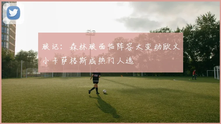 狼记：森林狼面临阵容大变动欧文小卡萨格斯成热门人选