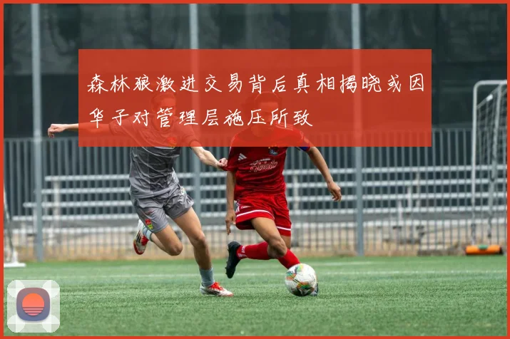 森林狼激进交易背后真相揭晓或因华子对管理层施压所致